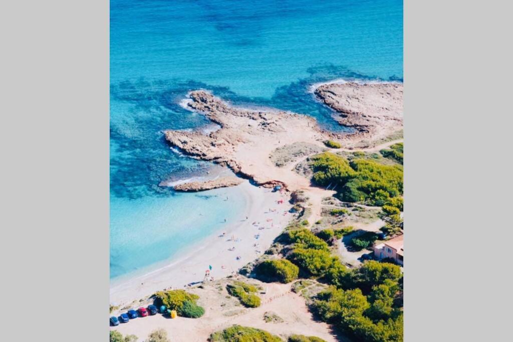 Verano Eterno En Mallorca - Alcudia! Екстериор снимка